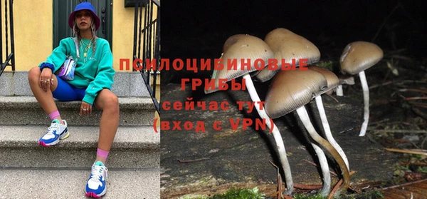 Альфа ПВП Алексин
